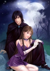 側妃有喜:公主是小妾
