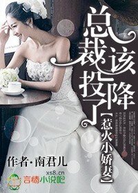 总裁该投降了/惹火小娇妻,总裁该投降了